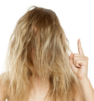  6 Steps to Frizz-Free Hair
