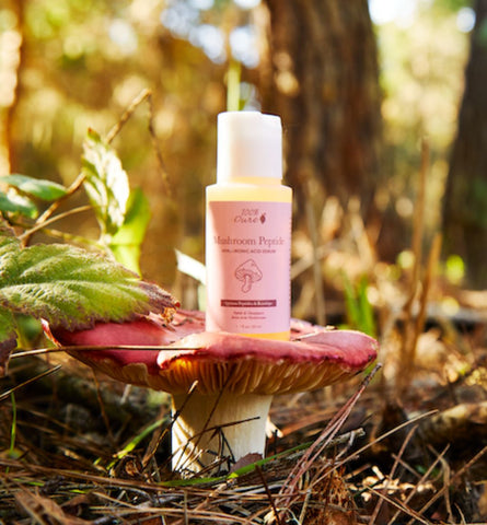 Blog Feed Article Feature Image Carousel: The Benefits of Mushroom Extracts in Skincare: How They Can Improve Your Skin's Health and Appearance
