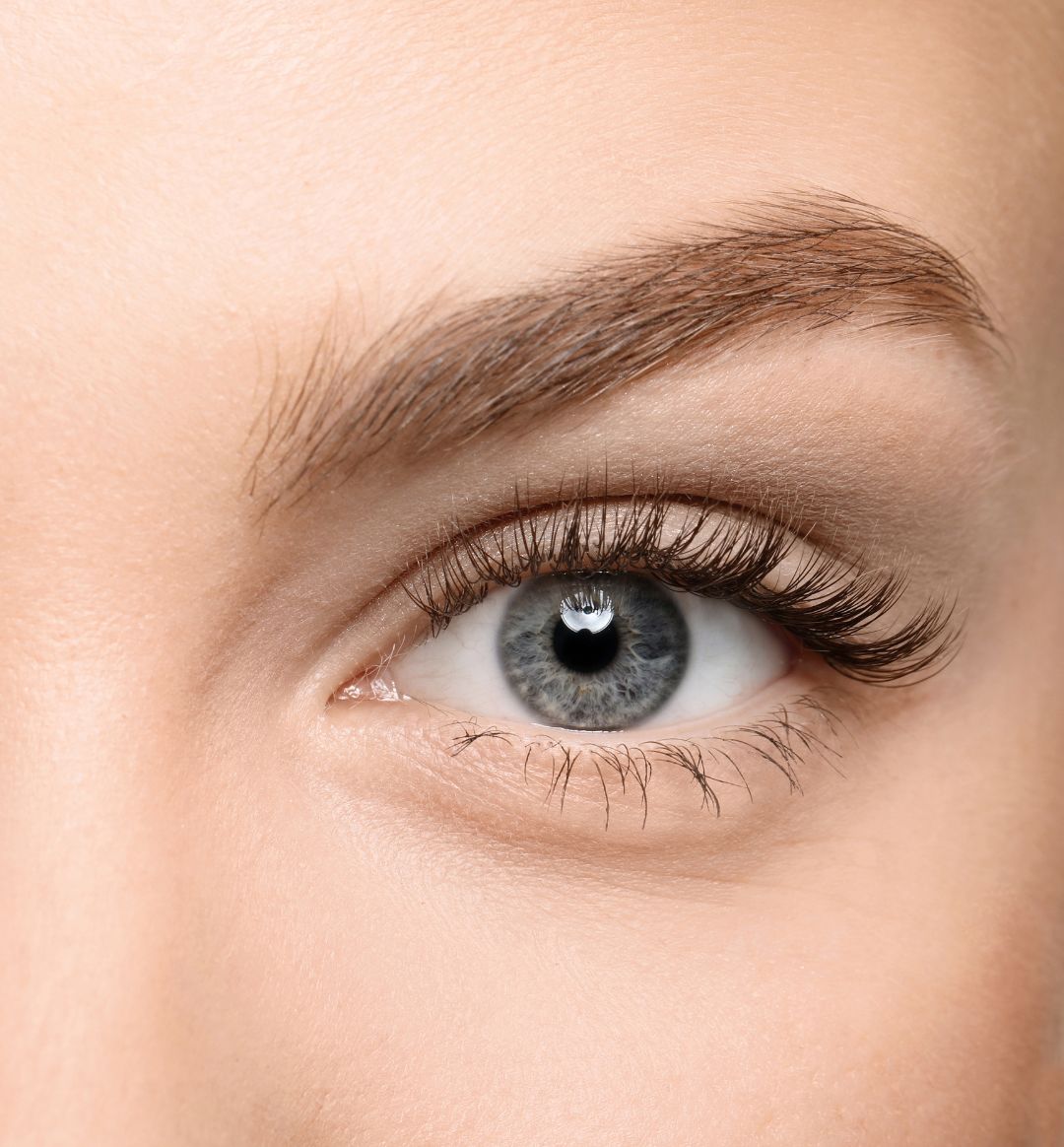 Thick eyelashes shop