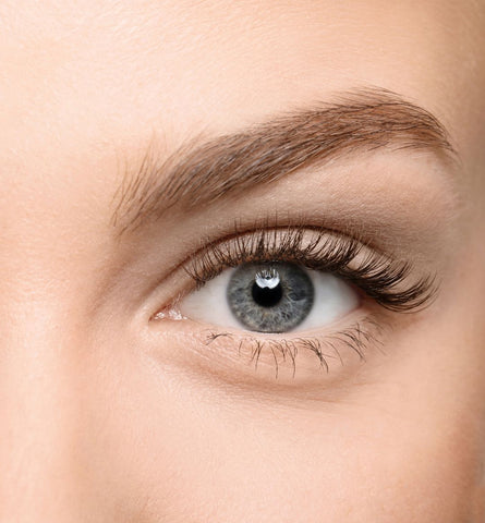 Blog Feed Article Feature Image Carousel: How to Get Thick & Elongated Lashes 