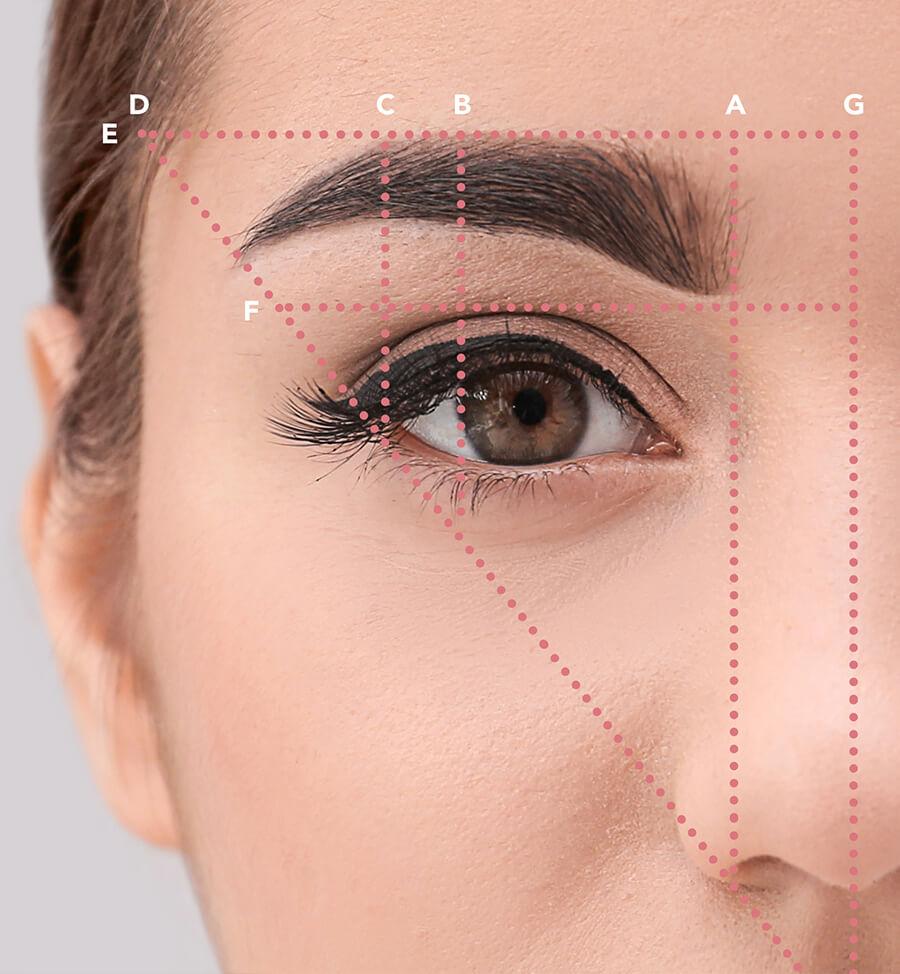 Eyebrow sculpting store