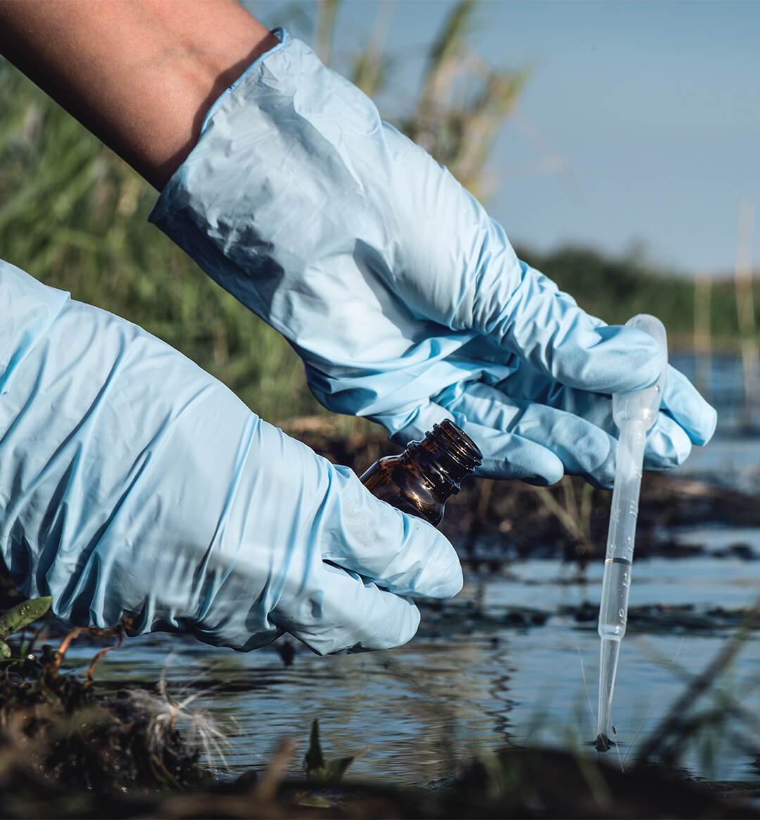 Bioaccumulation Explained: Understanding Its Impact Bioaccumulation Explained: Understanding Its Impact