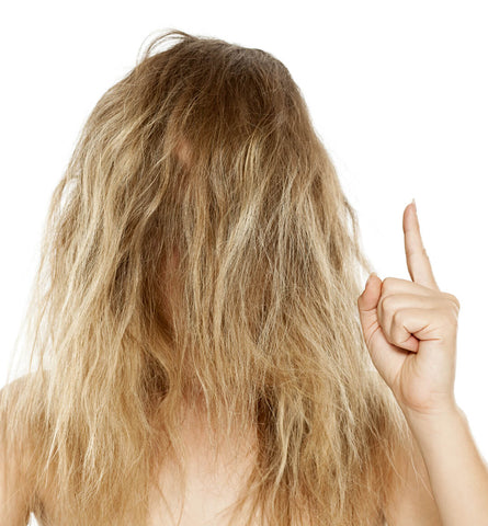 Blog Feed Article Feature Image Carousel: 6 Steps to Frizz-Free Hair 