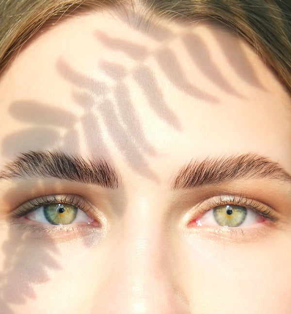 blog 6 Ways to Inspire Eyebrow Envy feature image