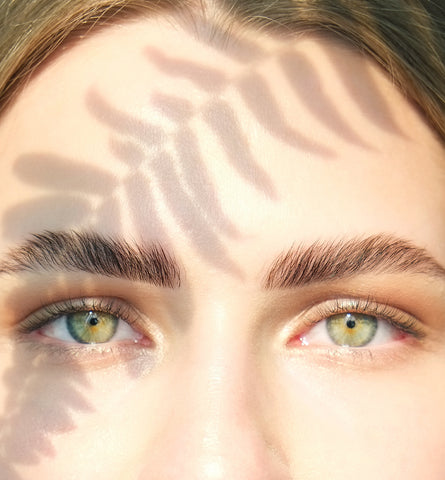 Blog Feed Article Feature Image Carousel: 6 Ways to Inspire Eyebrow Envy 