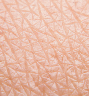  How to Master the Skin Microbiome