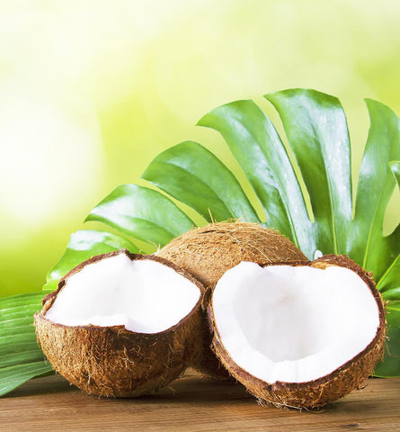 Blog Feed Article Feature Image Carousel: National Coconut Day Celebration 