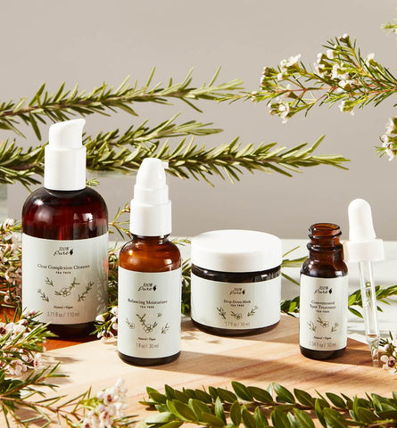 Blog Feed Article Feature Image Carousel: Natural Acne Treatments with Tea Tree 