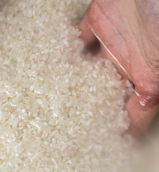  How Can Rice Water Help Your Skin?