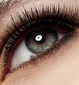  Lash Lifts & Falsies: What You Should Know