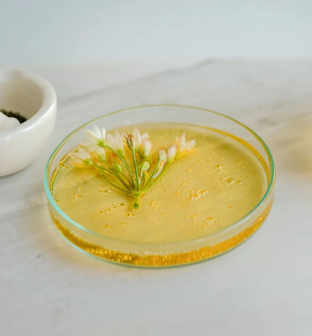 Natural & Organic Ingredients: Are They Better for Skin?