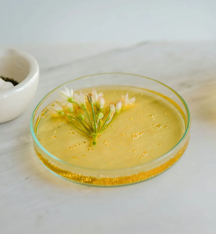 Blog Feed Article Feature Image Carousel: Are Natural & Organic Ingredients Better for Your Skin? 