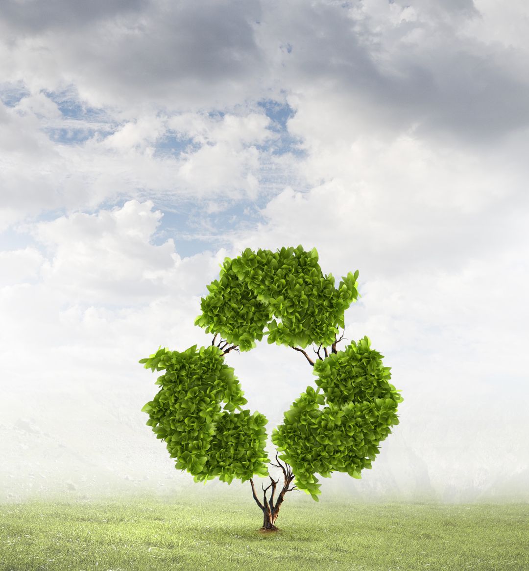 Embracing Pre-cycling and Recycling at 100% PURE