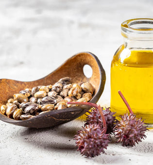  How to Use Castor Oil for Dry Skin, Wrinkles, and More, According to Dermatologists