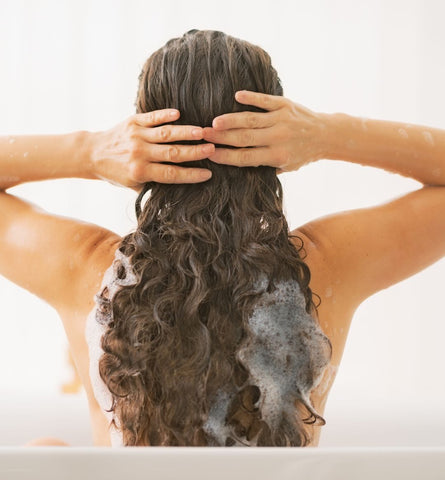 Blog Feed Article Feature Image Carousel: Lather, Rinse, Renew: The Best All-Natural Shampoo and Conditioner Duos 