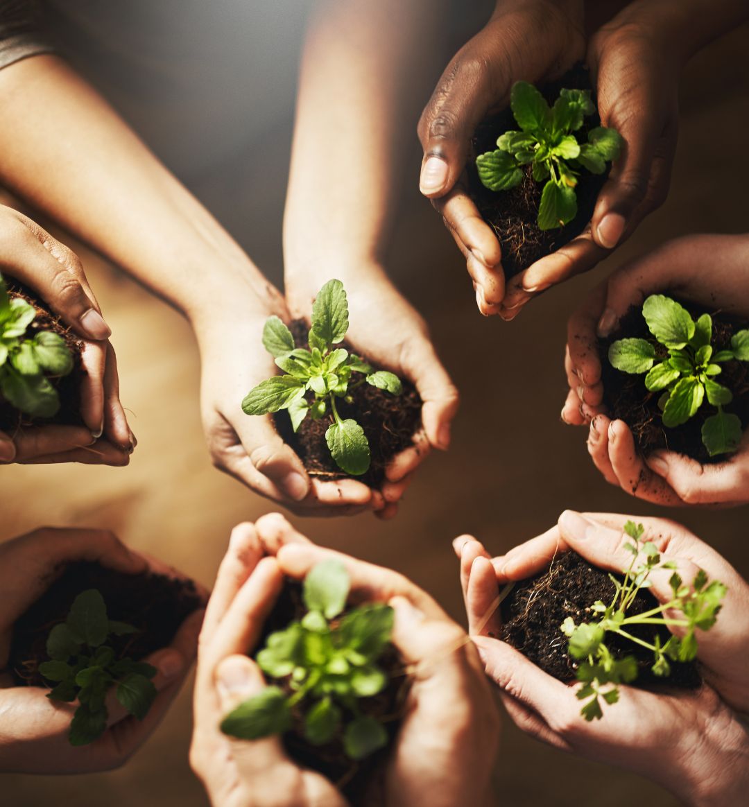 100% PURE: Commitment to Satisfaction and Planet Respect