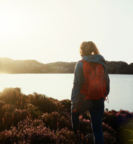 Blog Feed Article Feature Image Carousel: Why Hitting the Trail Beats Hitting the Treadmill: The Amazing Benefits of Outdoor Workouts 