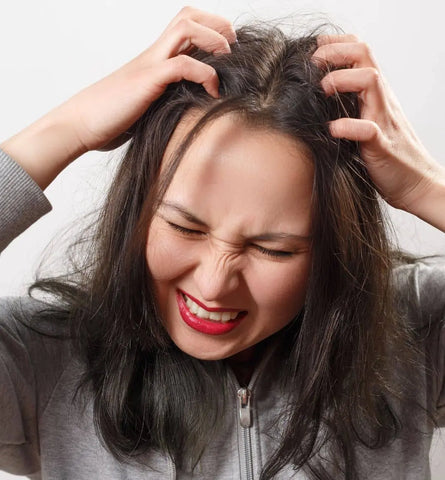 Blog Feed Article Feature Image Carousel: I have a dry scalp. How frequently should I shampoo? 