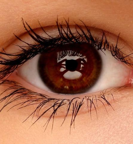 Blog Feed Article Feature Image Carousel: How to Grow Your Eyelashes FAST—No Extensions, No Irritation 