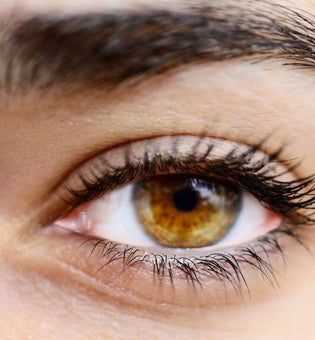  Eye Care 101: Treating Dark Circles, Puffiness, and Fine Lines