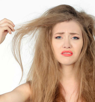  Say Goodbye to Bad Hair Days by Decoding Your Hair’s Porosity
