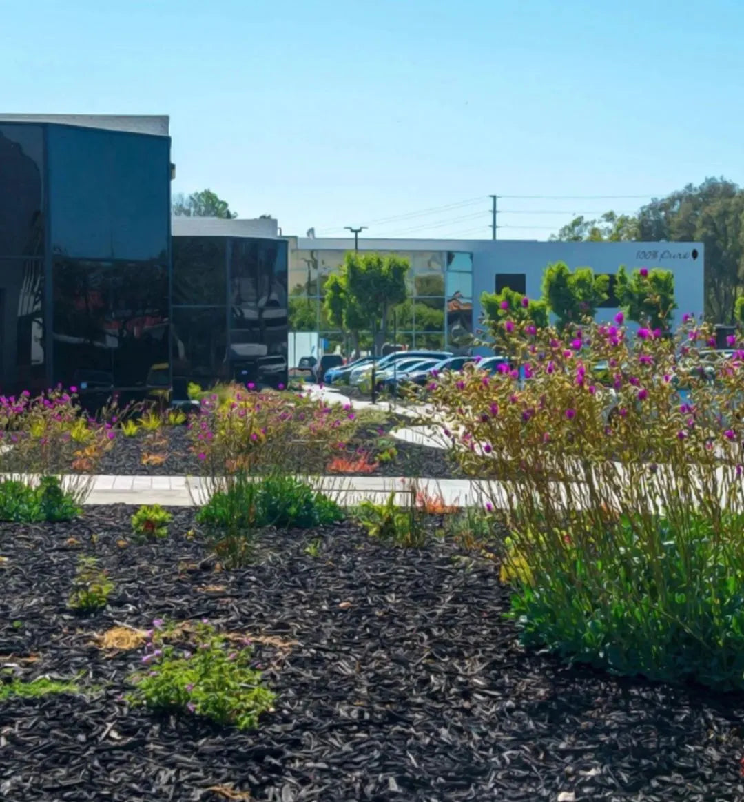 Why Susie Built Purity Park in San Jose – 100% PURE