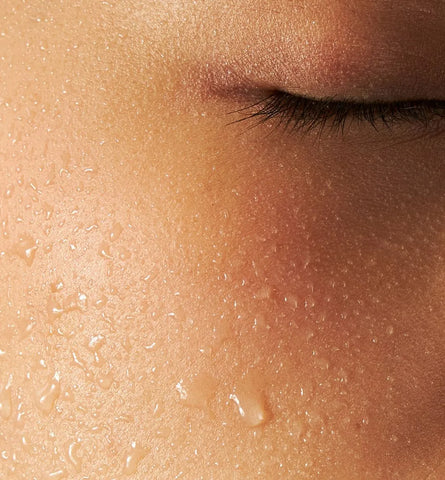 Blog Feed Article Feature Image Carousel: Why Your Barrier Needs a 