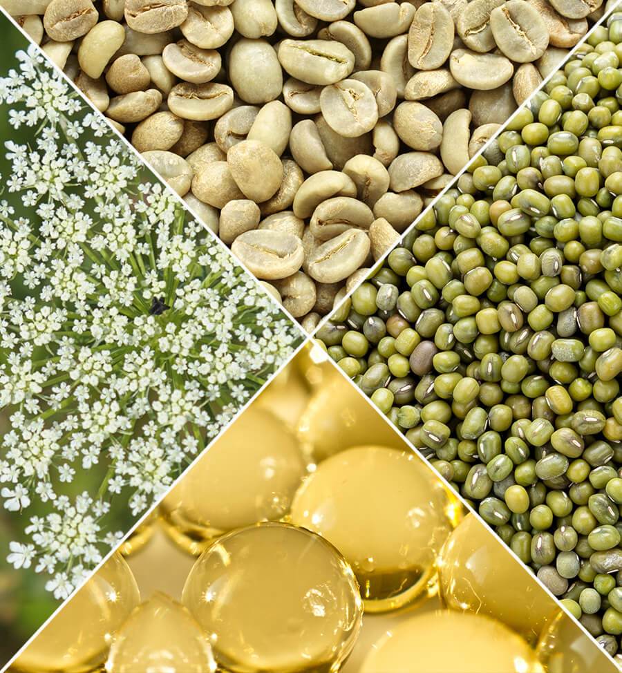 9 Top Anti-Aging Ingredients in Natural Skin Care | 100% PURE