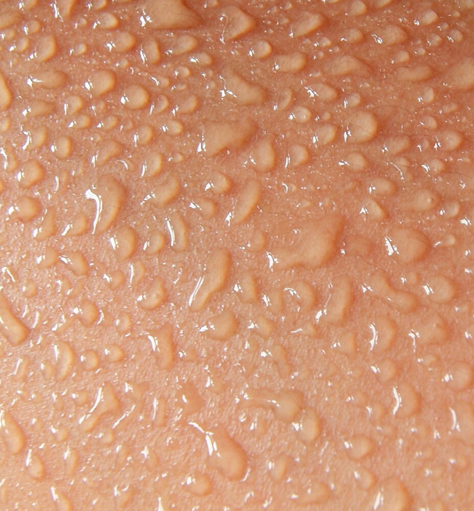 Skin Absorption Concerns: When to Be Cautious Skin Absorption Concerns: When to Be Cautious