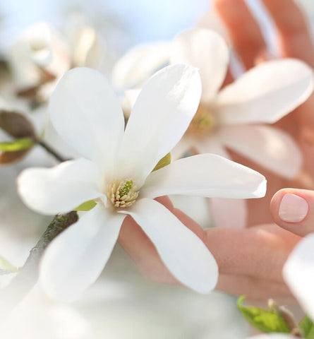 Blog Feed Article Feature Image Carousel: Is 'Natural' Nail Color Just A Fantasy? 