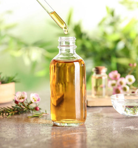 Blog Feed Article Feature Image Carousel: Tea Tree Essential Oil Benefits 