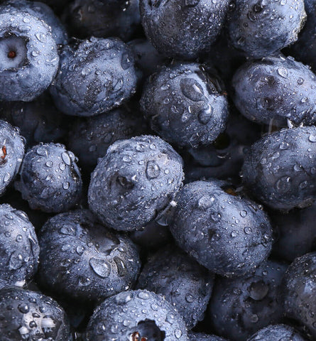 Blog Feed Article Feature Image Carousel: How to Use Blueberries for Beauty 