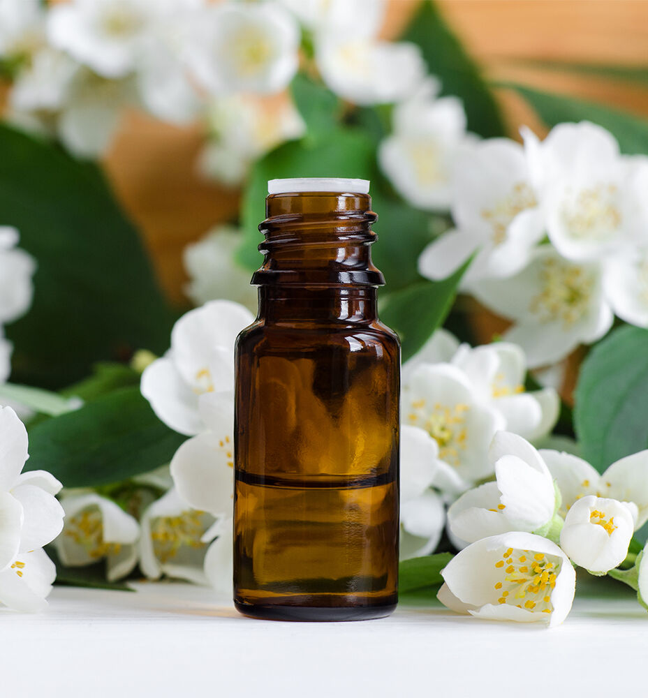 Jasmine Essential Oil Benefits 100 PURE