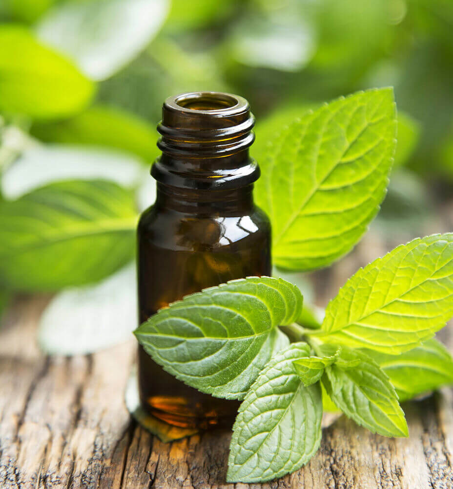 What Does Peppermint Essential Oil Do? – 100% PURE