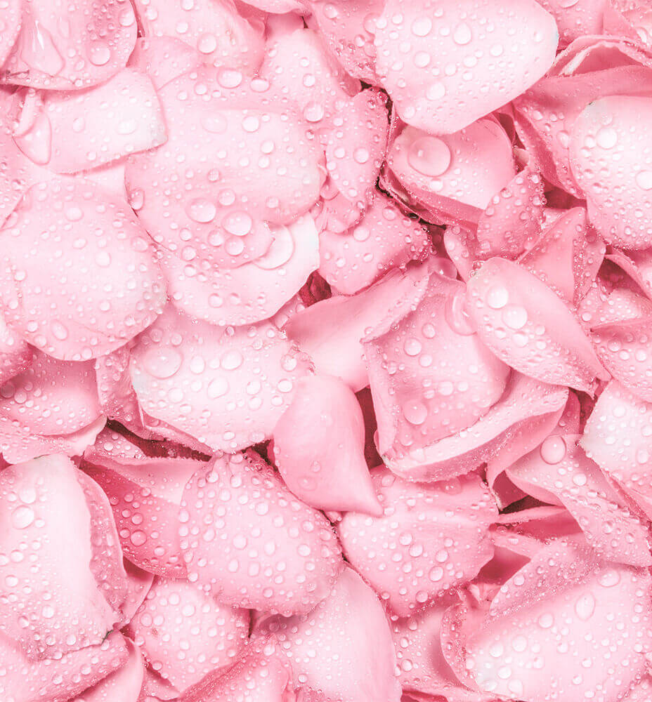 Rose Water for Skin: Discover Its 100% Pure Benefits Rose Water for Skin: Discover Its 100% Pure Benefits