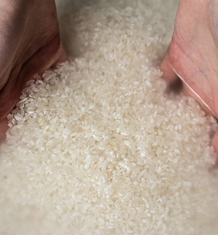 Blog Feed Article Feature Image Carousel: How We Use Kojic Acid 