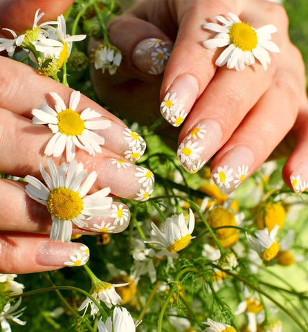 Blog Feed Article Feature Image Carousel: 20-Free Daisy Nail Polish Look 
