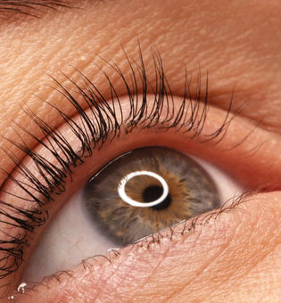  Want Thicker Lashes? Here's How to Grow Your Eyelashes Naturally