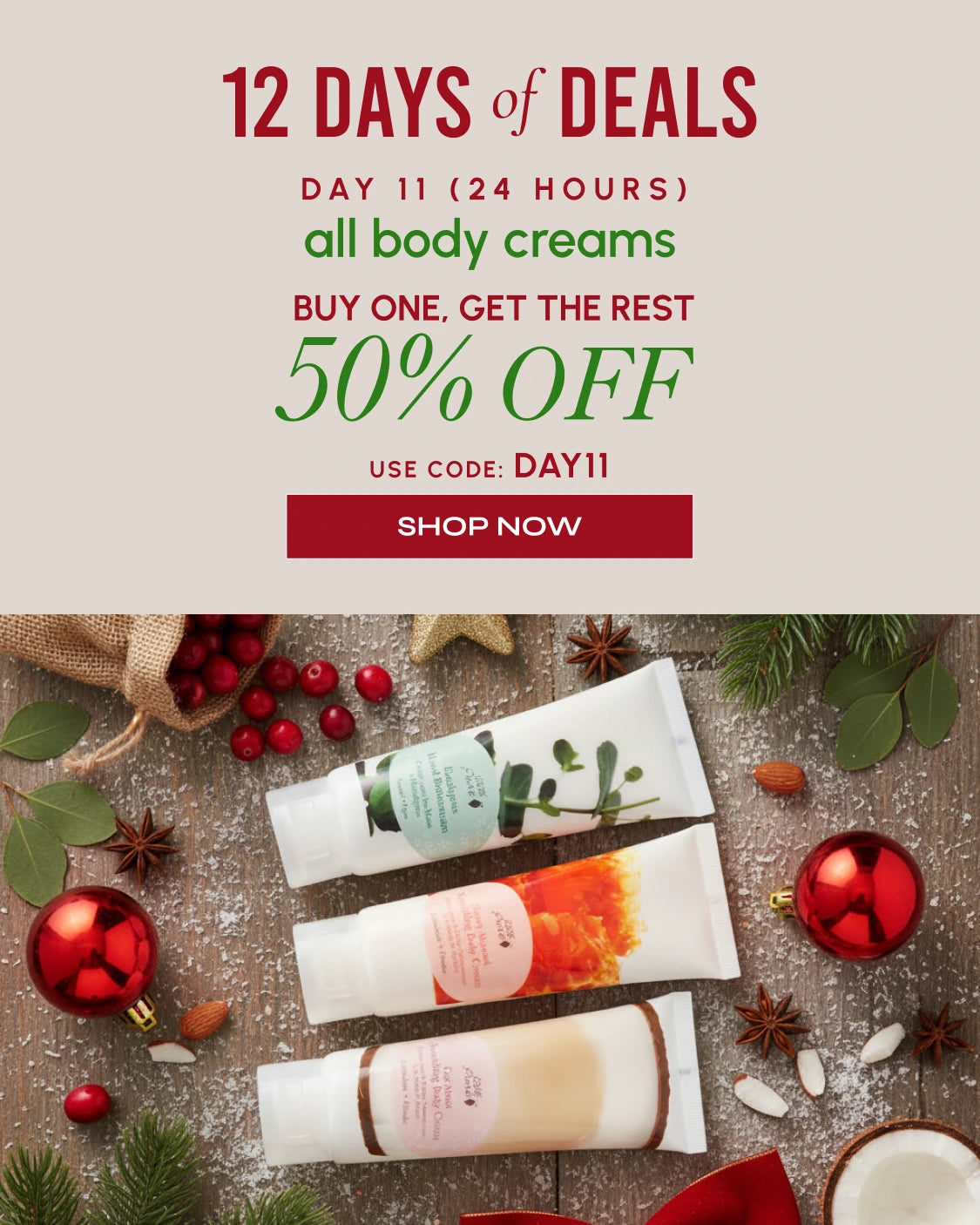 12_Deals_of_the_DayHome_Page_Hero_Banner_-_Mobile--D9_c8b4291a-5116-48da-8586-2650c73e3591