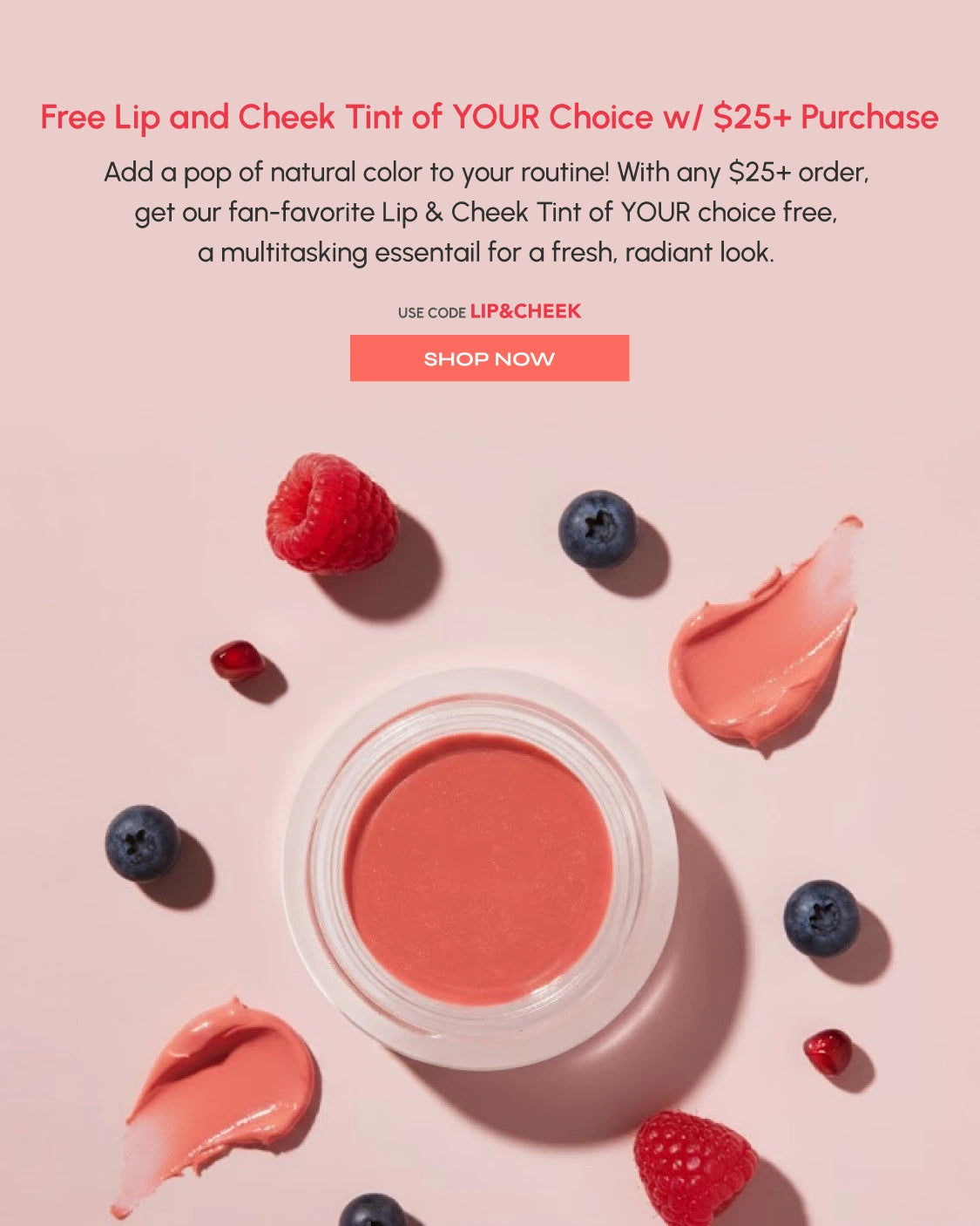 Lip_Cheek_Tint_GWP_-_Home_Page_Hero_Banner_-_Mobile