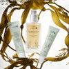Restorative Sea Culture Hydrating Toner