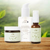 Tea Tree Kit