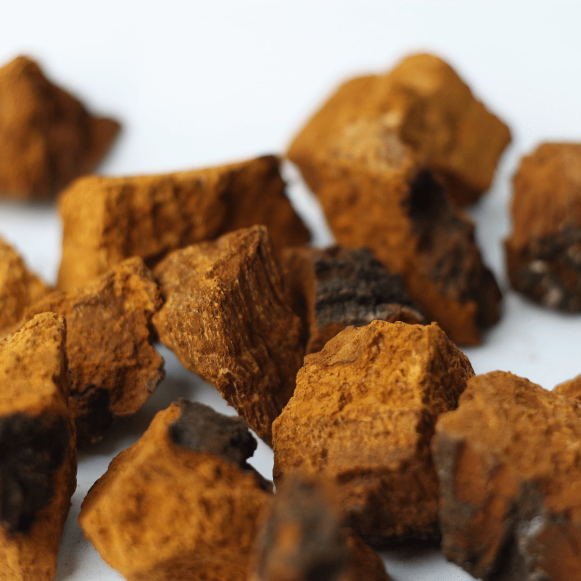 Product Page Key Ingredients: Chaga Mushroom