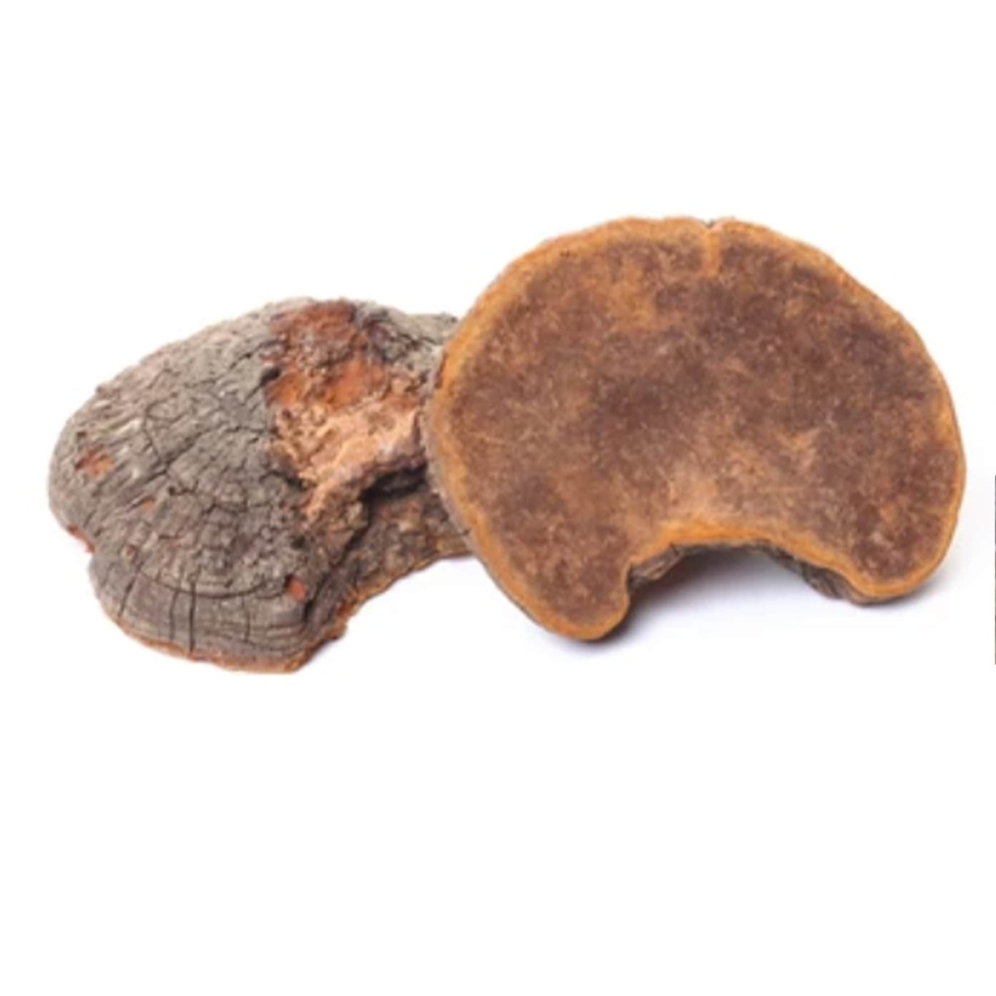 Product Page Key Ingredients: Meshima Mushroom