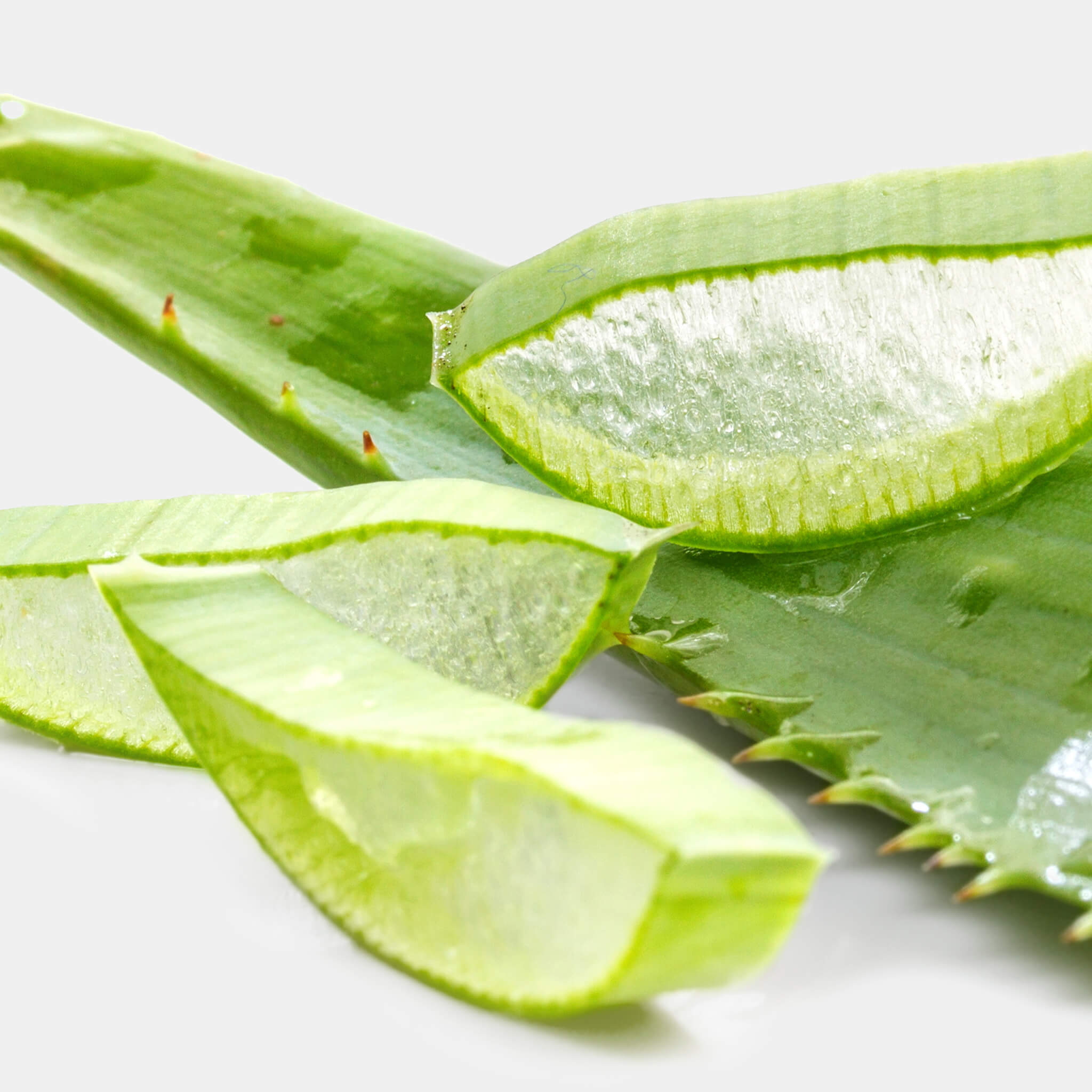 Product Page Key Ingredients: Aloe Vera