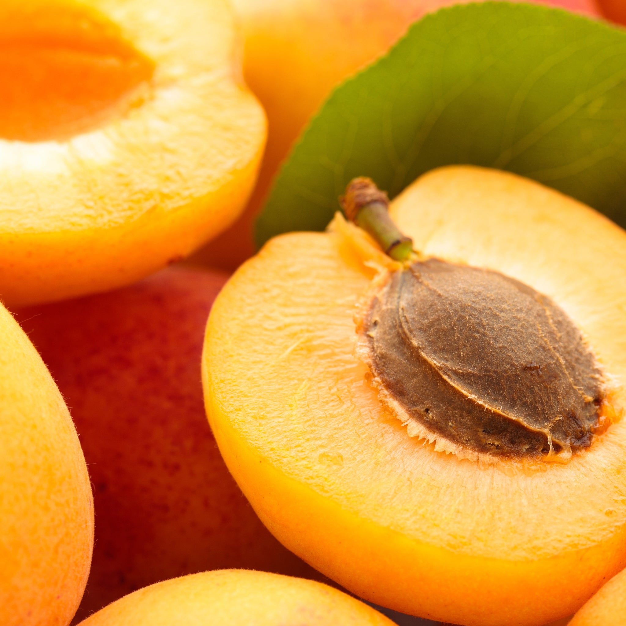 Product Page Key Ingredients: Apricot Kernel Oil