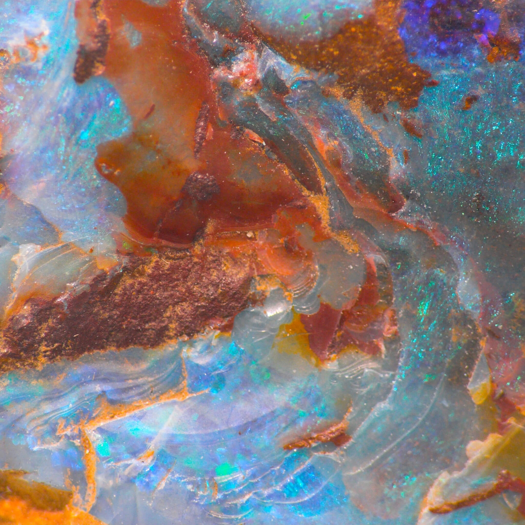 Product Page Key Ingredients: Australian Opal