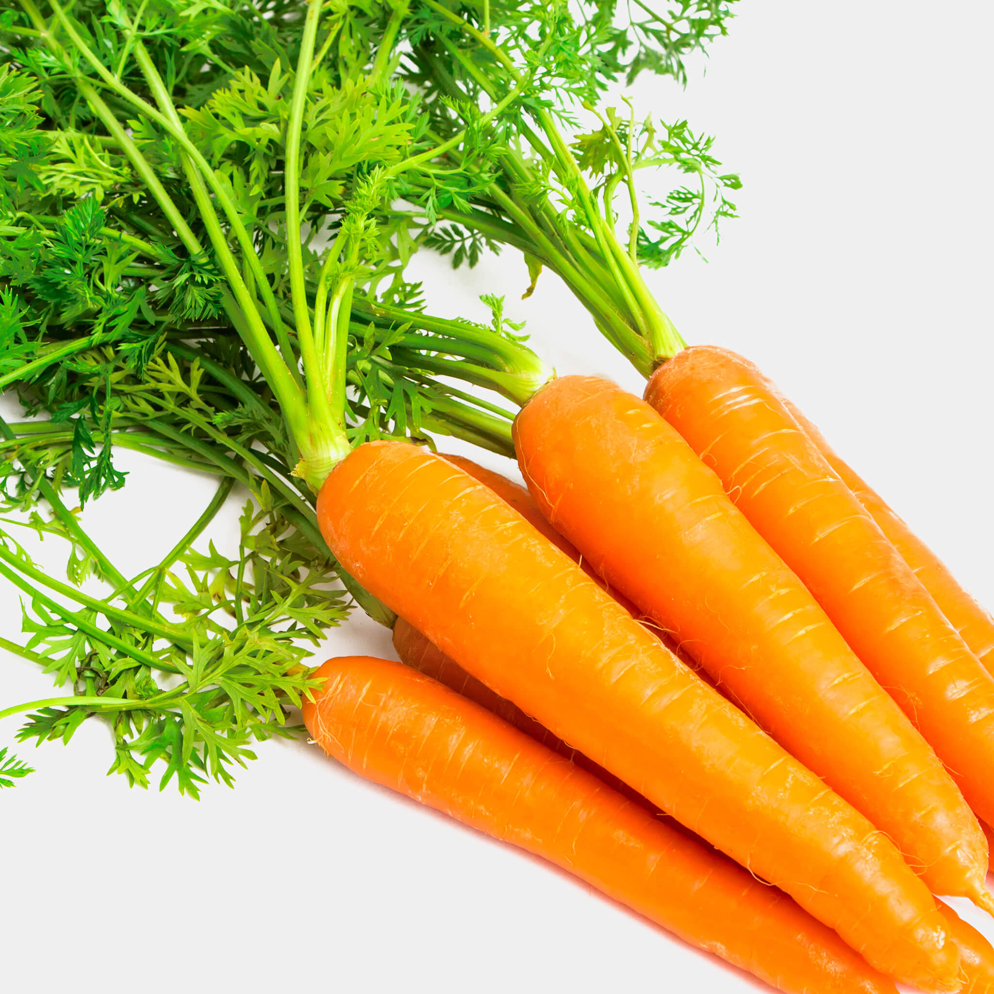 Product Page Key Ingredients: Carrot