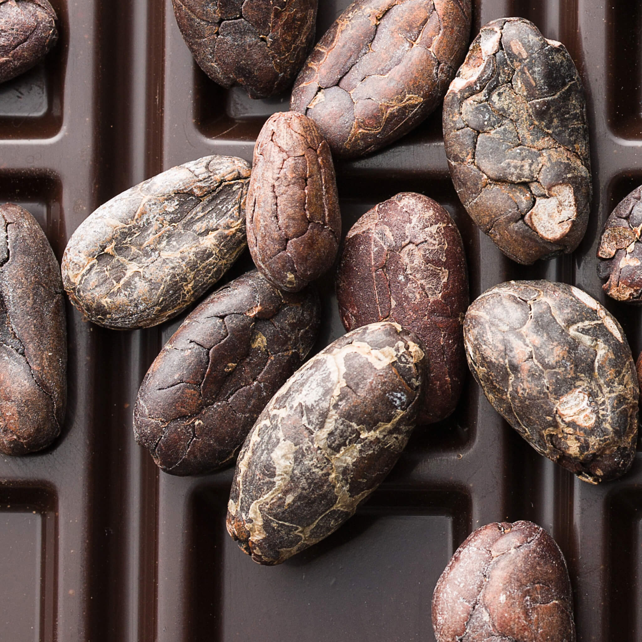 Product Page Key Ingredients: Cocoa