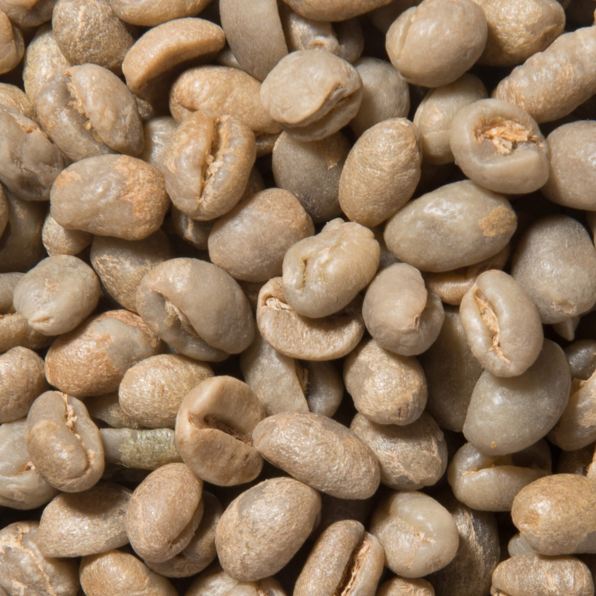 Product Page Key Ingredients: Coffee Bean